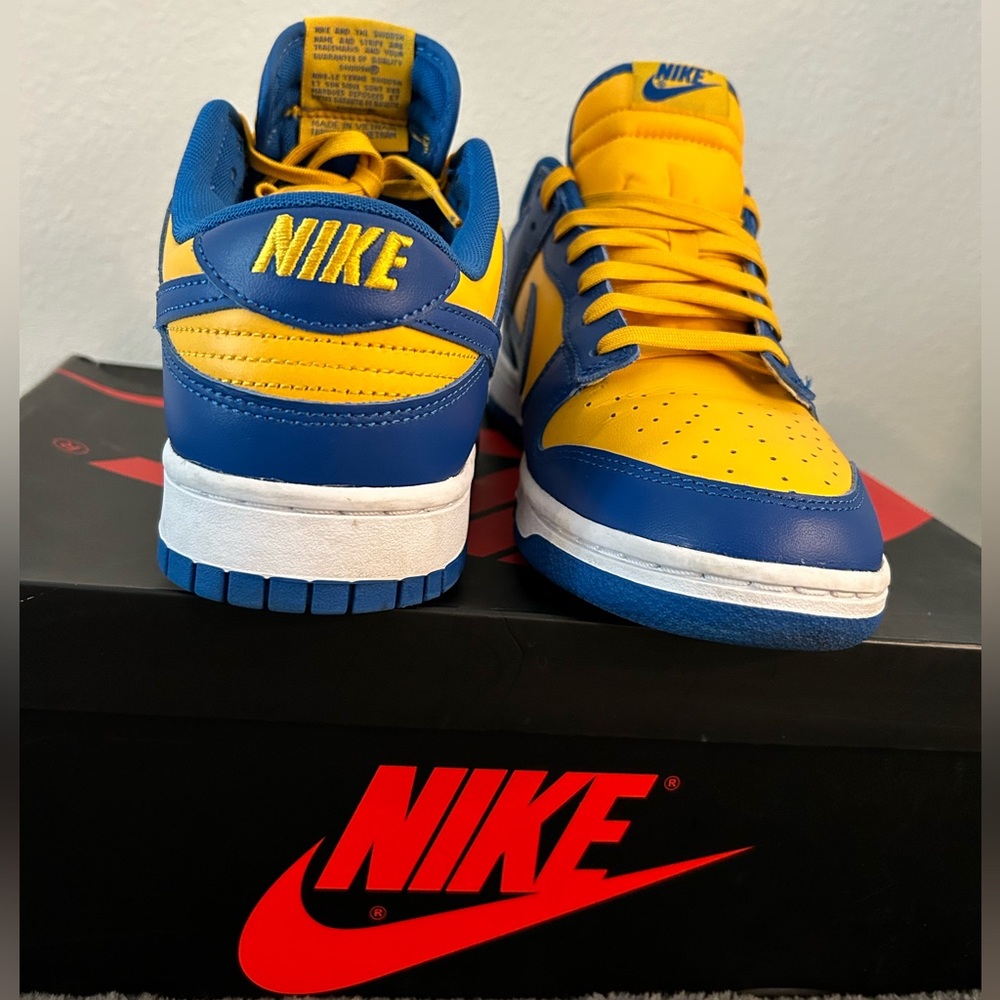 NIKE DUNKS